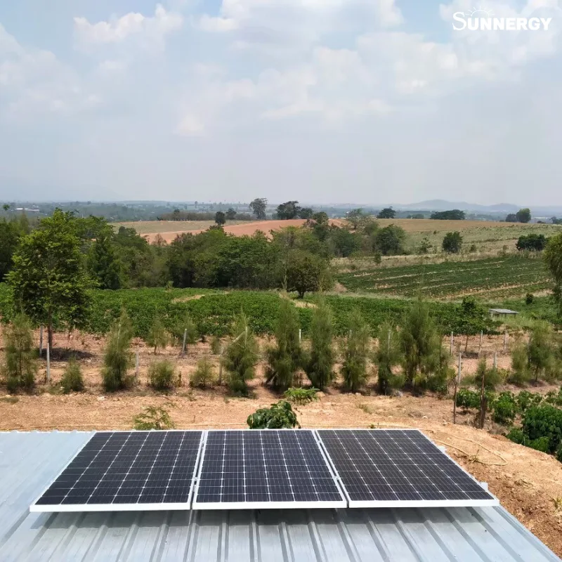 OFF-GRID วังน้ำเขียว