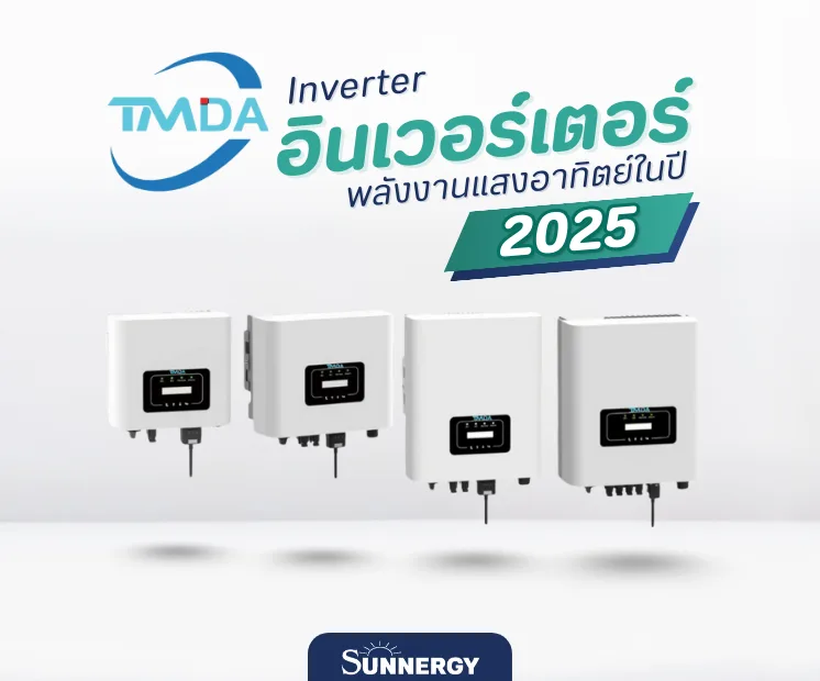 TMDA Inverter