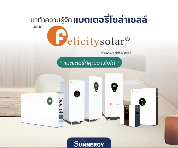มาทำความรู้จักแบรนด์ Felicitysolar ผู้นำด้านแบตเตอรี่พลังงานแสงอาทิตย์