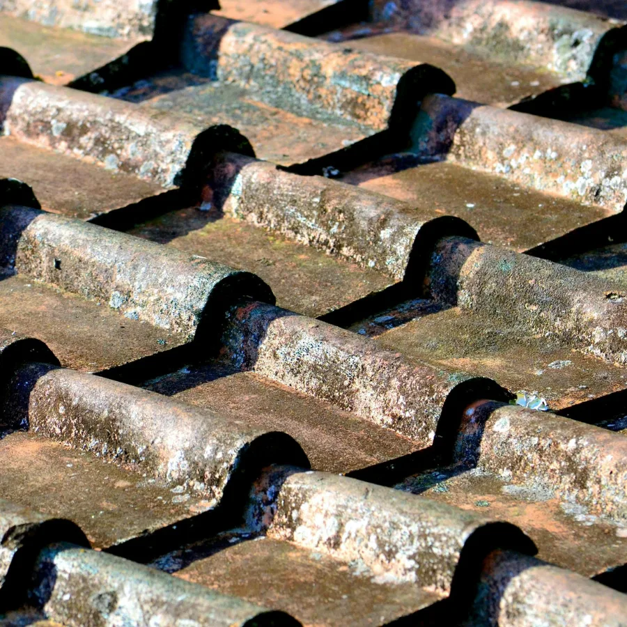 รูปฟุตเทรด 2026 02 06T142810.655