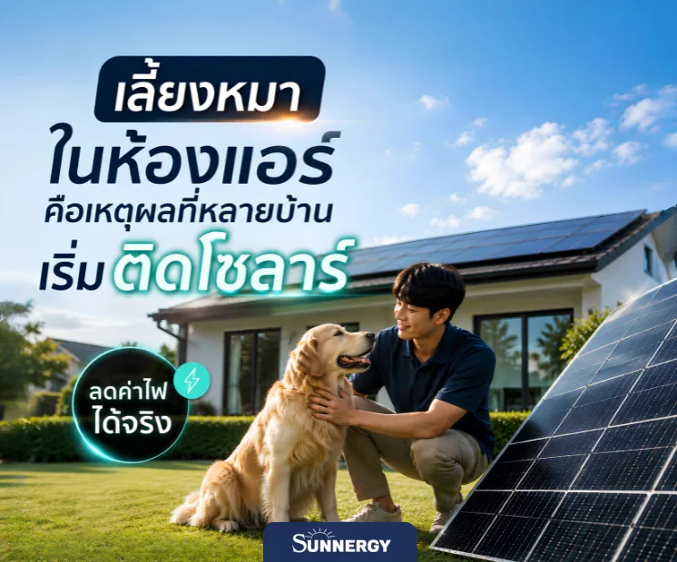 ค่าไฟหลักหมื่น 9